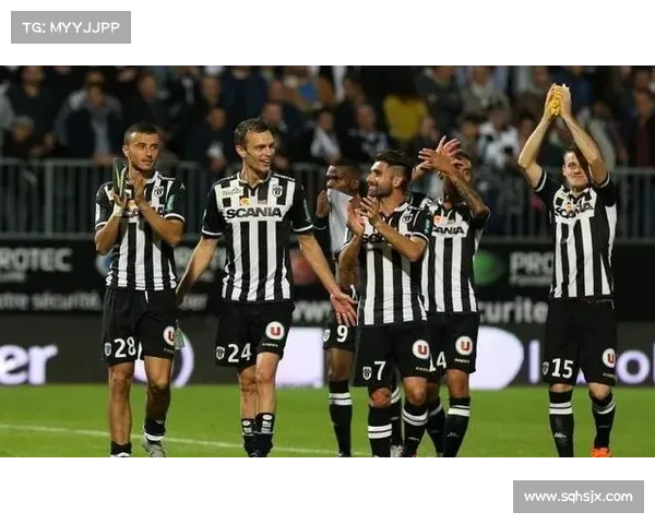 全面解读法甲冠军标志历史演变与象征意义的全景深度综合详尽指南